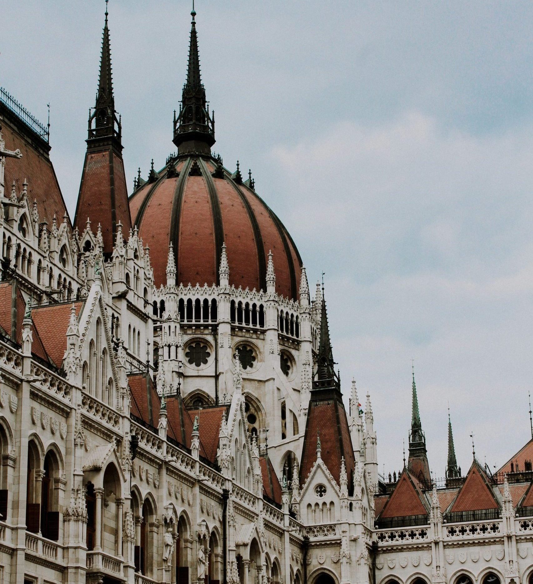 dinara-guseinova-5iKH5bYXJ0M-unsplash